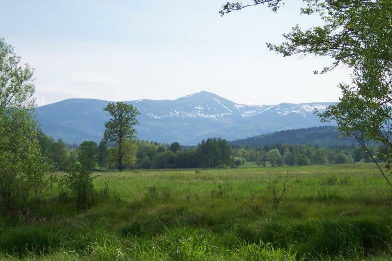 Karpnicka Struga W Dolinie Pałaców i Ogrodów Jelenia Góra Zewnętrze zdjęcie