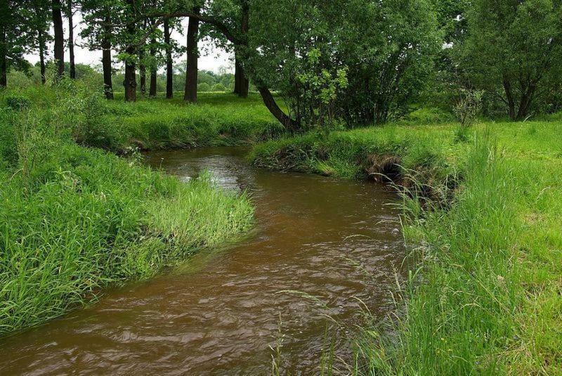 Karpnicka Struga W Dolinie Pałaców i Ogrodów Jelenia Góra Zewnętrze zdjęcie